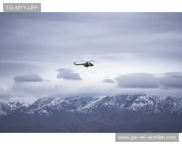 飞跃的战鹰:比尔领衔,球队底气十足,征途再启! 飞跃的战鹰:比尔领衔,球队底气十足,征途再启!