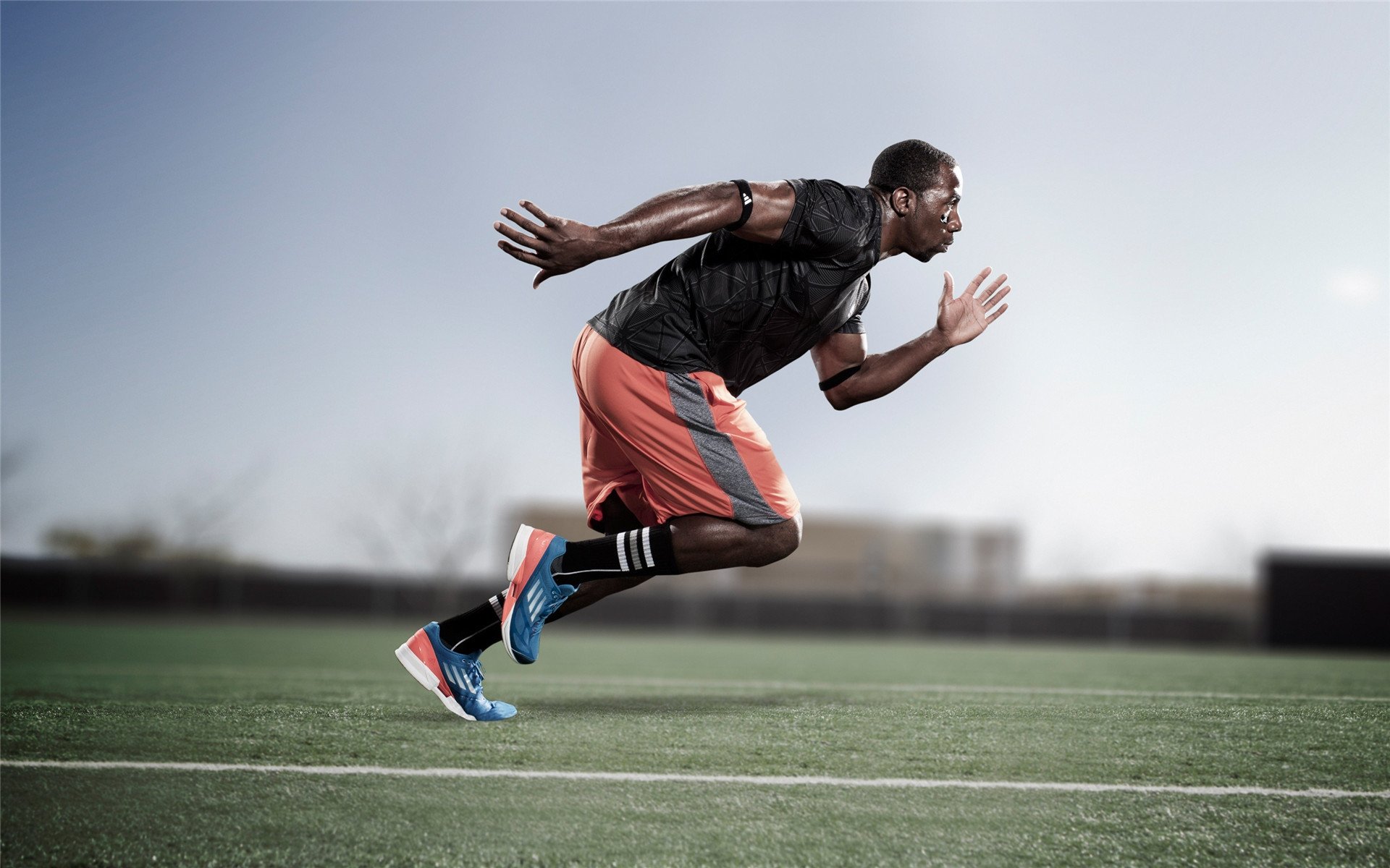 四国蝶泳换气频率战术对比图，蝶泳的换气