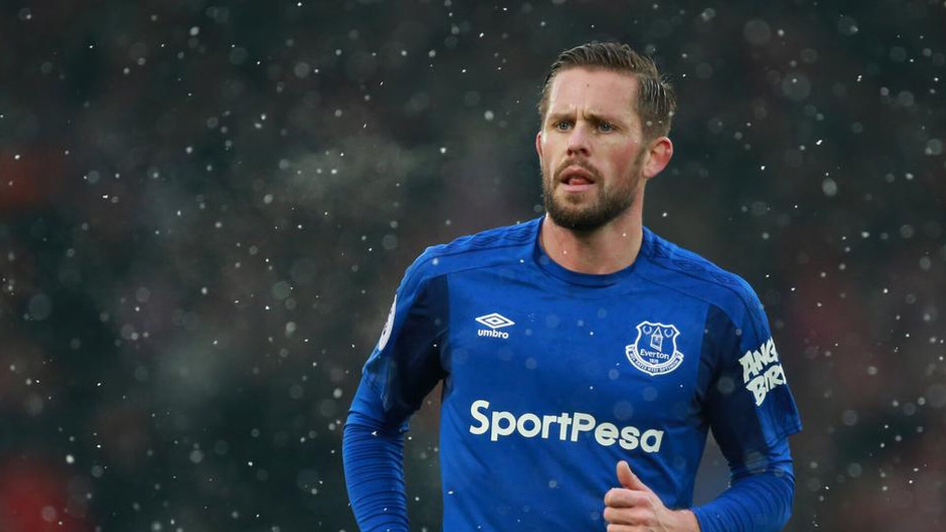 德国队自由泳表现小幅提升，德国游泳水平如何